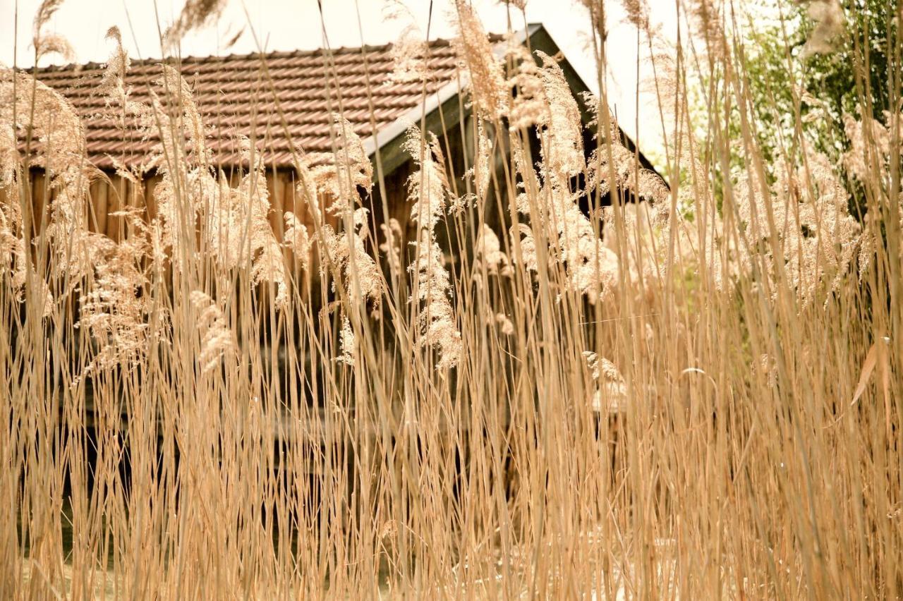 Zuhaeusl Am Chiemsee Appartements يبريتيبرون أم تشيمسي المظهر الخارجي الصورة