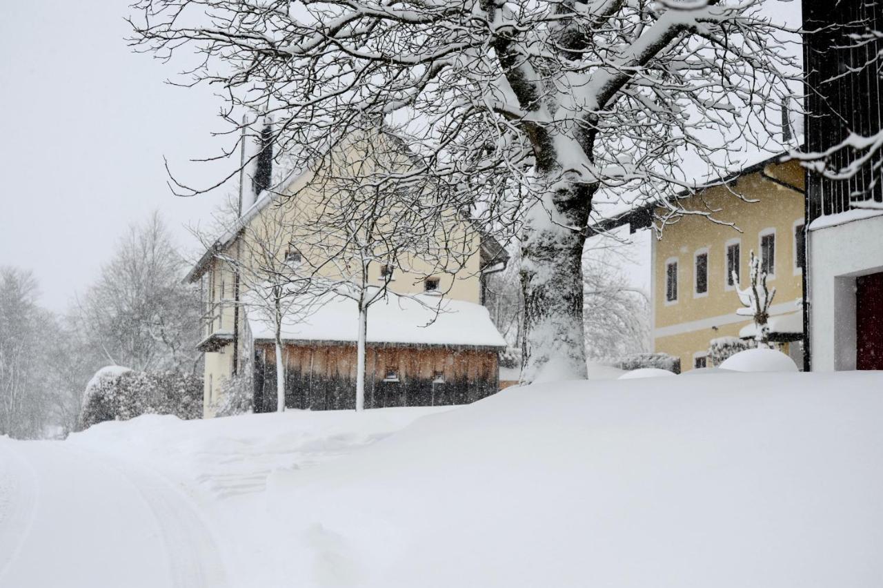 Zuhaeusl Am Chiemsee Appartements يبريتيبرون أم تشيمسي المظهر الخارجي الصورة