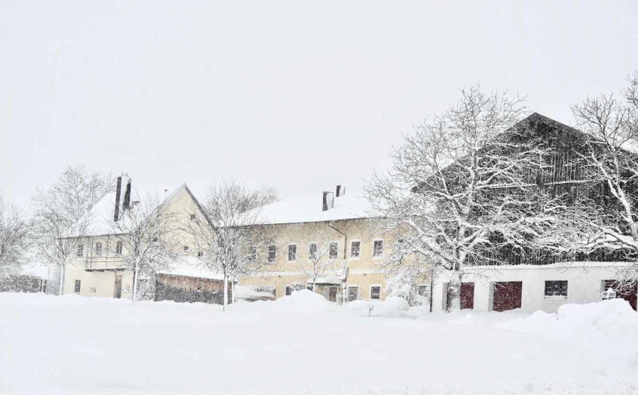 Zuhaeusl Am Chiemsee Appartements يبريتيبرون أم تشيمسي المظهر الخارجي الصورة